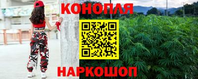 мяу мяу мука Камышлов