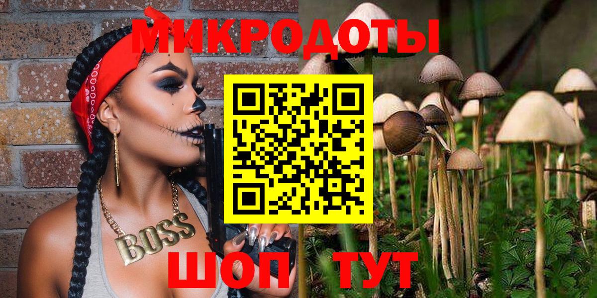 Псилоцибиновые грибы Magic Shrooms Звенигород
