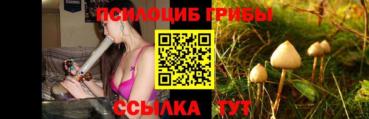 цены наркотик  Галлюциногенные грибы MAGIC MUSHROOMS  Псилоцибиновые грибы ЛСД  Вход с VPN  Звенигород 